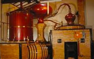 B-Wine-Tour-Bordeaux-Cognac-02 B-Wine-Tour-Bordeaux-Cognac-02