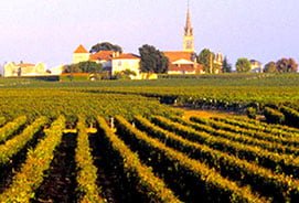 B Wine -Wine Tours Medoc